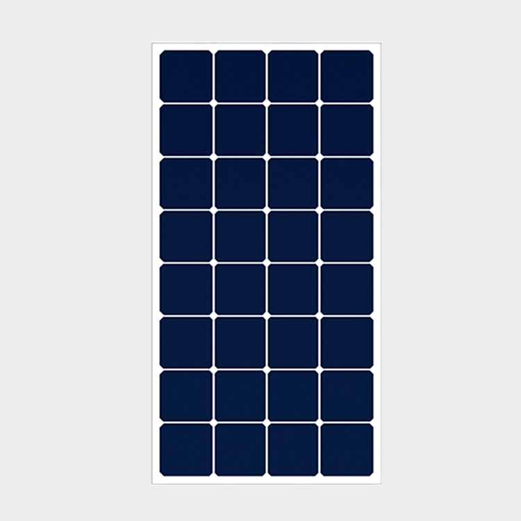 100W Glass Solar Module